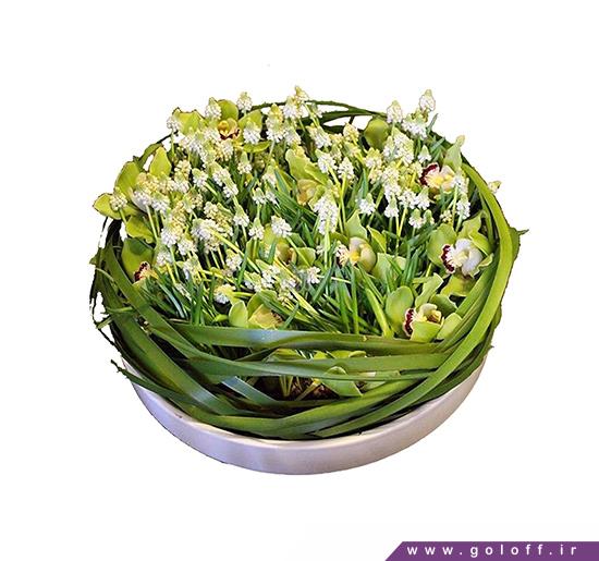 خرید گل اینترنتی - حلقه گل طبیعی دیاکو - Diako | گل آف
